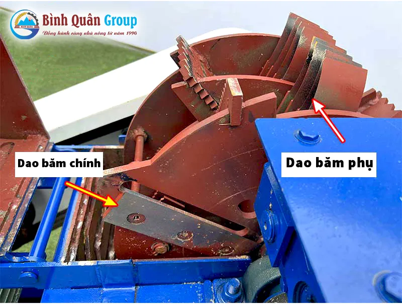 dao-bam-co_result