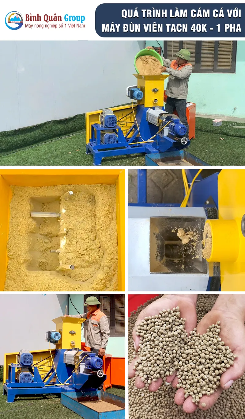 may-lam-cam-vien-noi-cho-ca_result