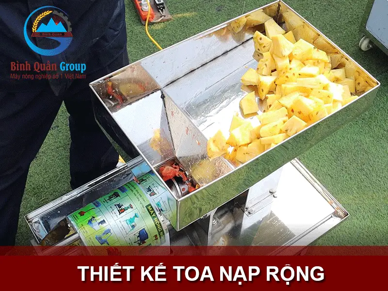 toa-nap-rong_result222