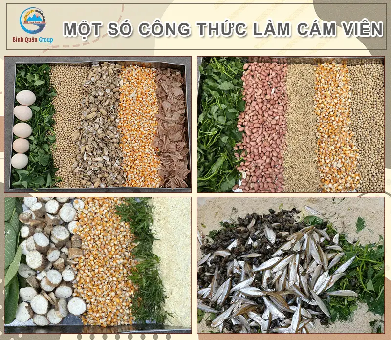 cong-thuc-lam-cam-vien-cho-ga_result222