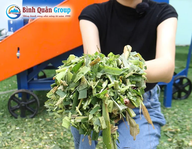 thanh-pham-co-sau-khi-bam_result