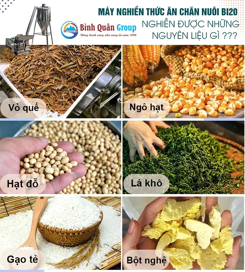 may-nghien-thuc-an-chan-nuoi-b20-inox-co-bau-gio_result