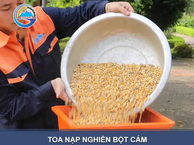 toa-nap-nghien-bot-cam_result