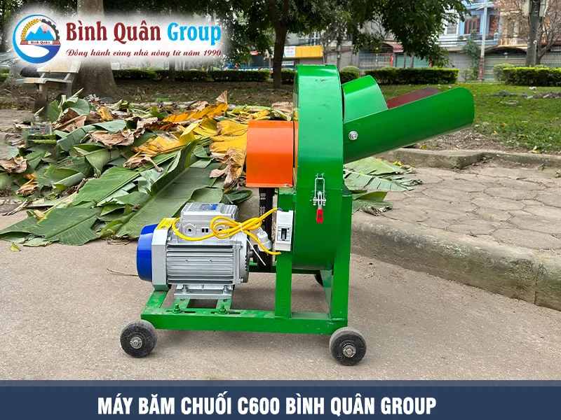 may-bam-chuoi-binh-quan-group-1-pha-cho-lon_result