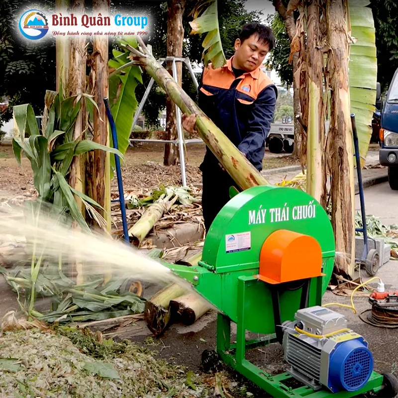 may-bam-chuoi-c600-binh-quan-group-1-pha_result