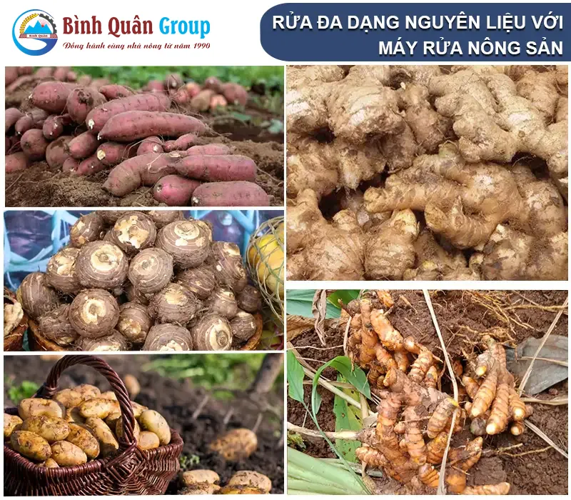 may-rua-cu-qua_result