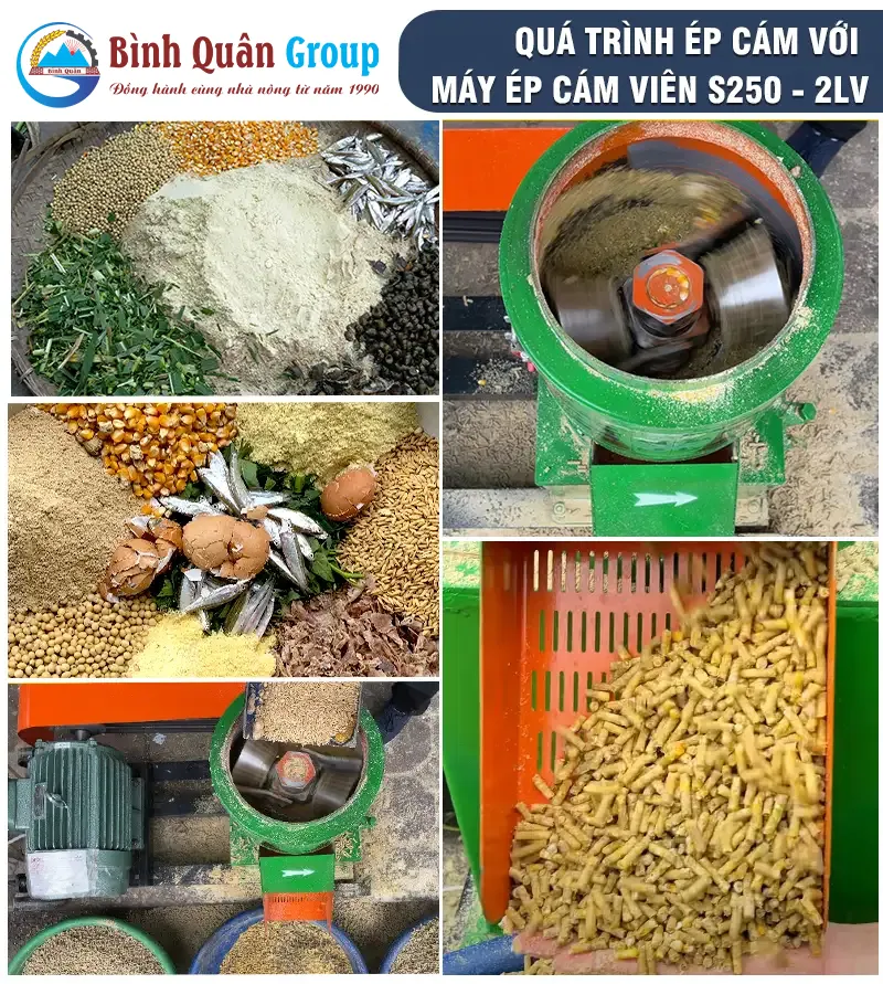 cach-su-dung-may-ep-cam-vien_result222_result
