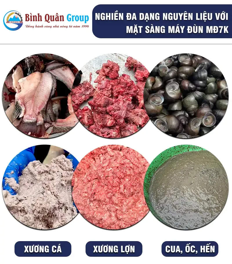 may-nghien-xuong-lon_result
