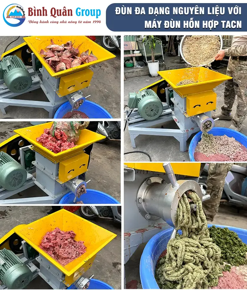 may-dun-xuong-lon_result