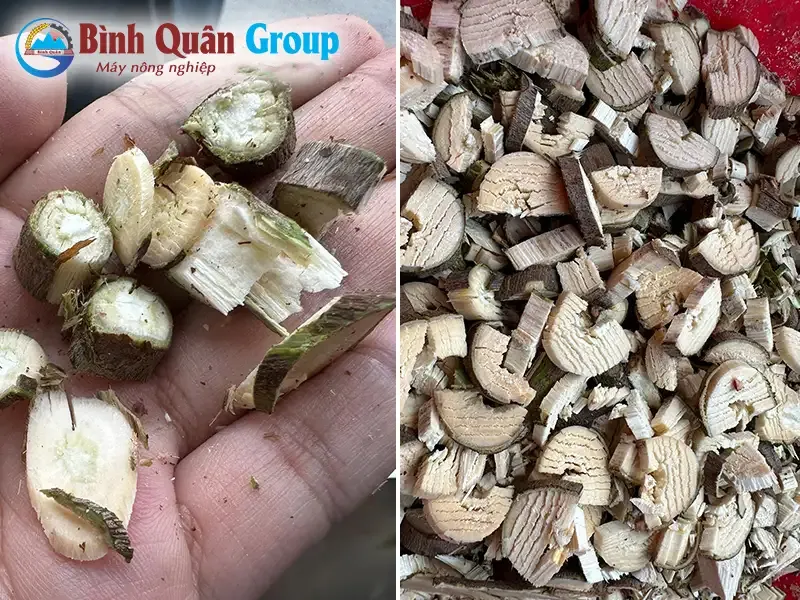 thai-duoc-lieu-lam-thuoc_result