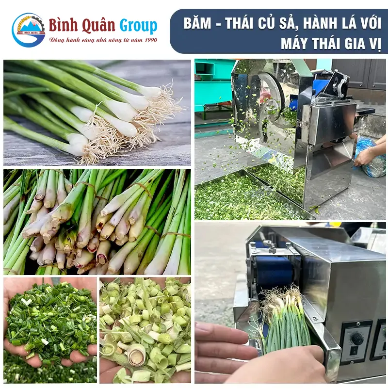 may-thai-rau-cu-qua-co-bang-tai-1-pha_result