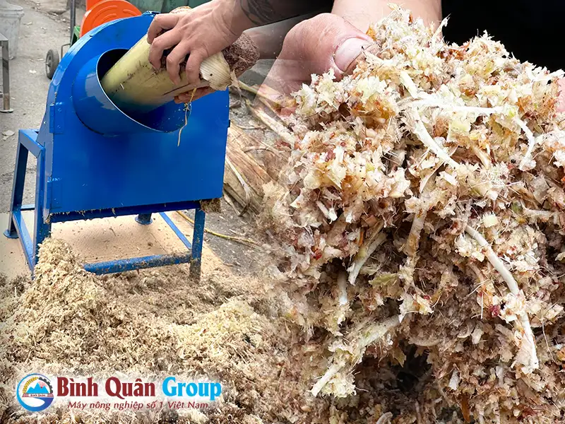 may-bam-chuoi-1,5kw-cho-ga_result222