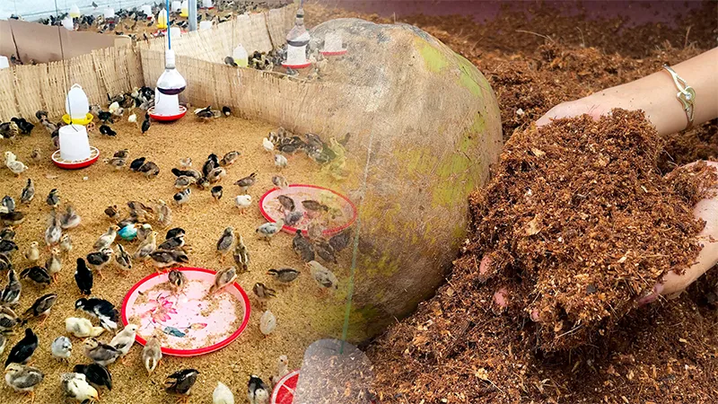 dem-lot-sinh-hoc_result