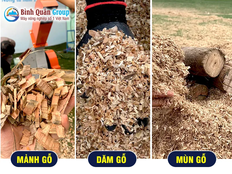 dam-go_result