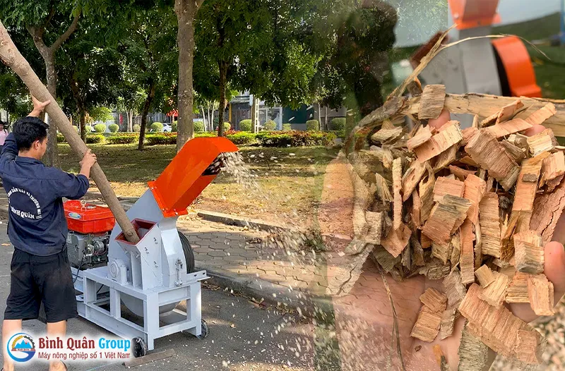 may-bam-go-thanh-dang-manh_result