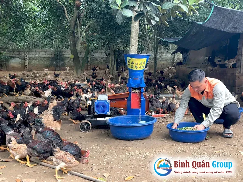 may-ep-cam-vien-cho-ga-1-pha-binh-quan-group_result