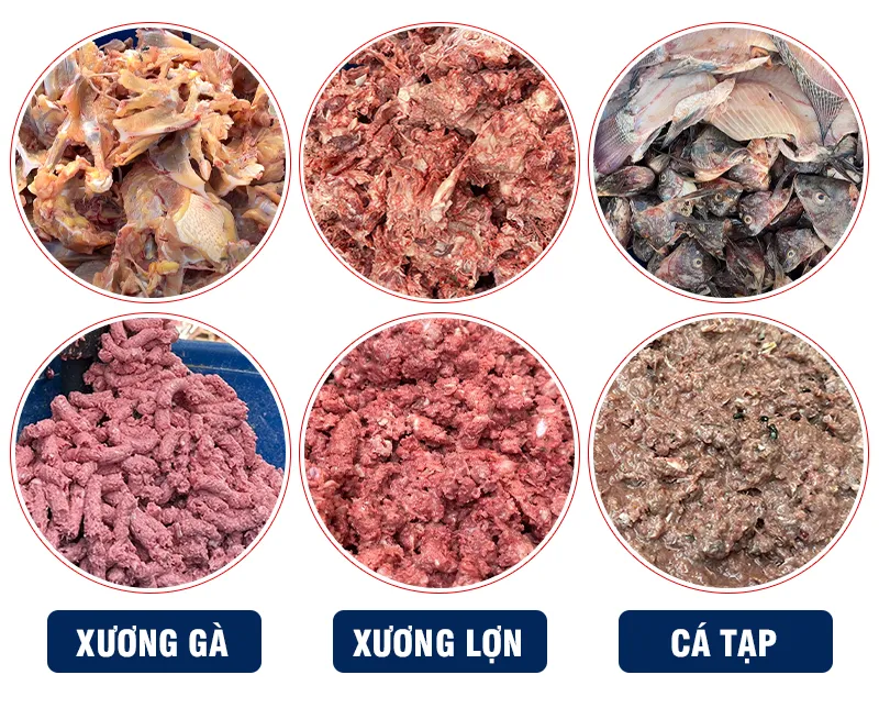 may-xay-xuong_result
