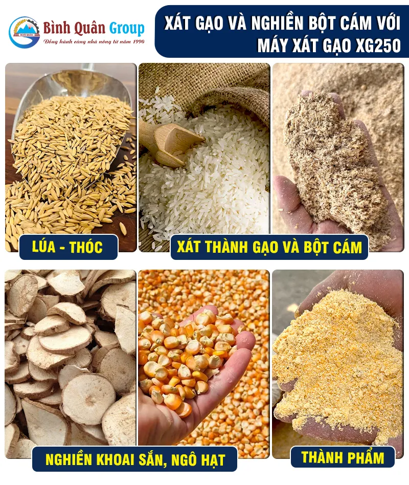 xat-gao_result