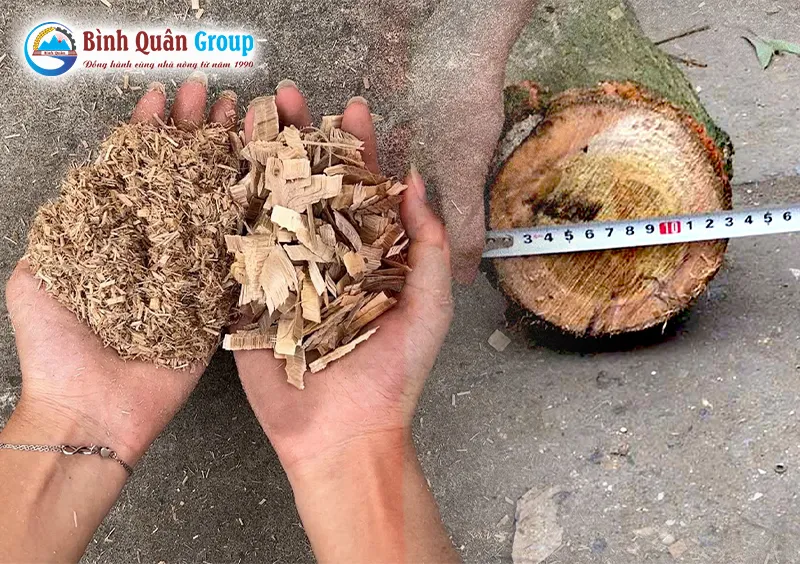 may-bam-go-thanh-mun-cua_result