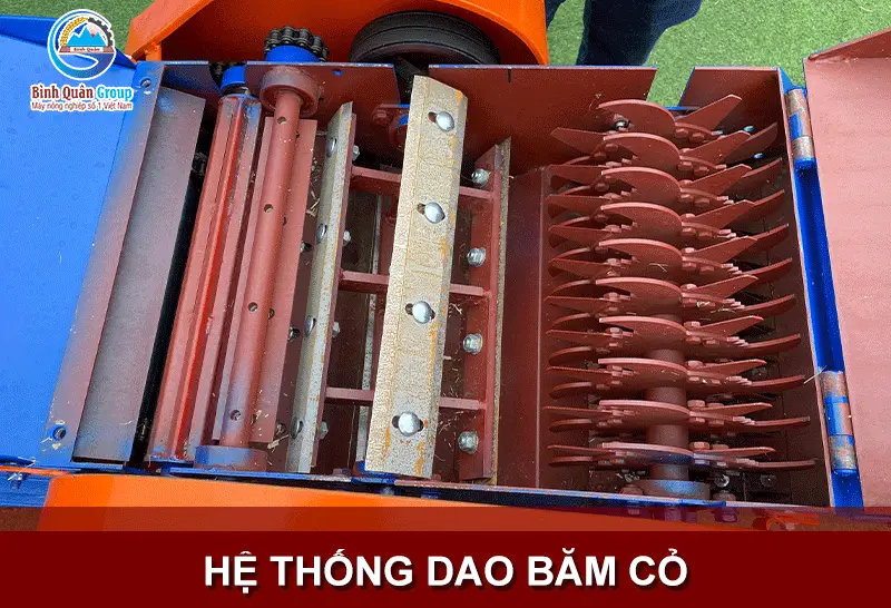 dao-bam-co_result222