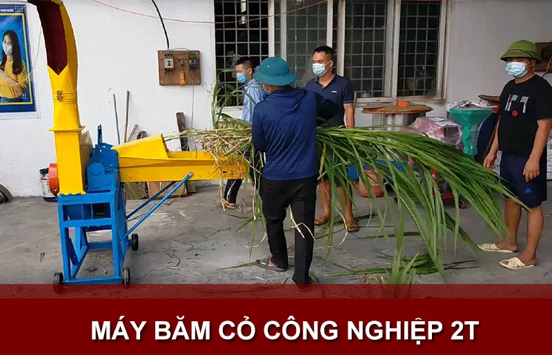 may-bamo-co-cong-nghiep-2t-binh-quan-group_result222