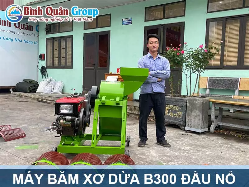 May-bam-xo-dua-B300-dau-no
