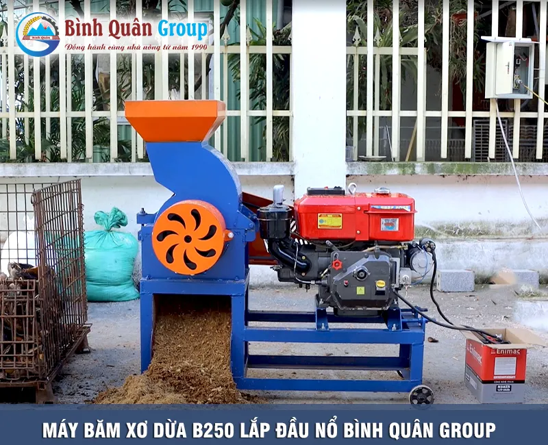may-bam-xo-dua-b250-dau-no_result
