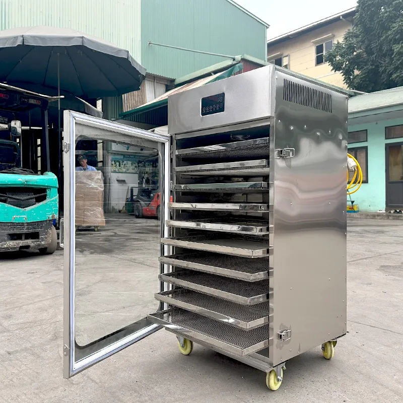 Máy sấy gia đình phiên bản mới - Ảnh 6